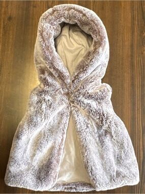 Plush Faux Fur Hooded Vest in Light Mauve